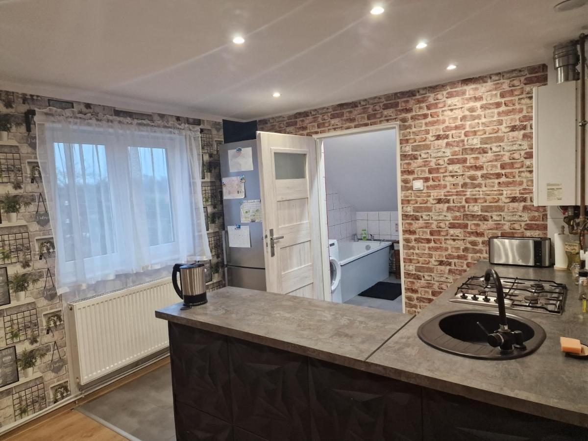 Przestronny Apartament +Silownia Bytom Eksteriør bilde